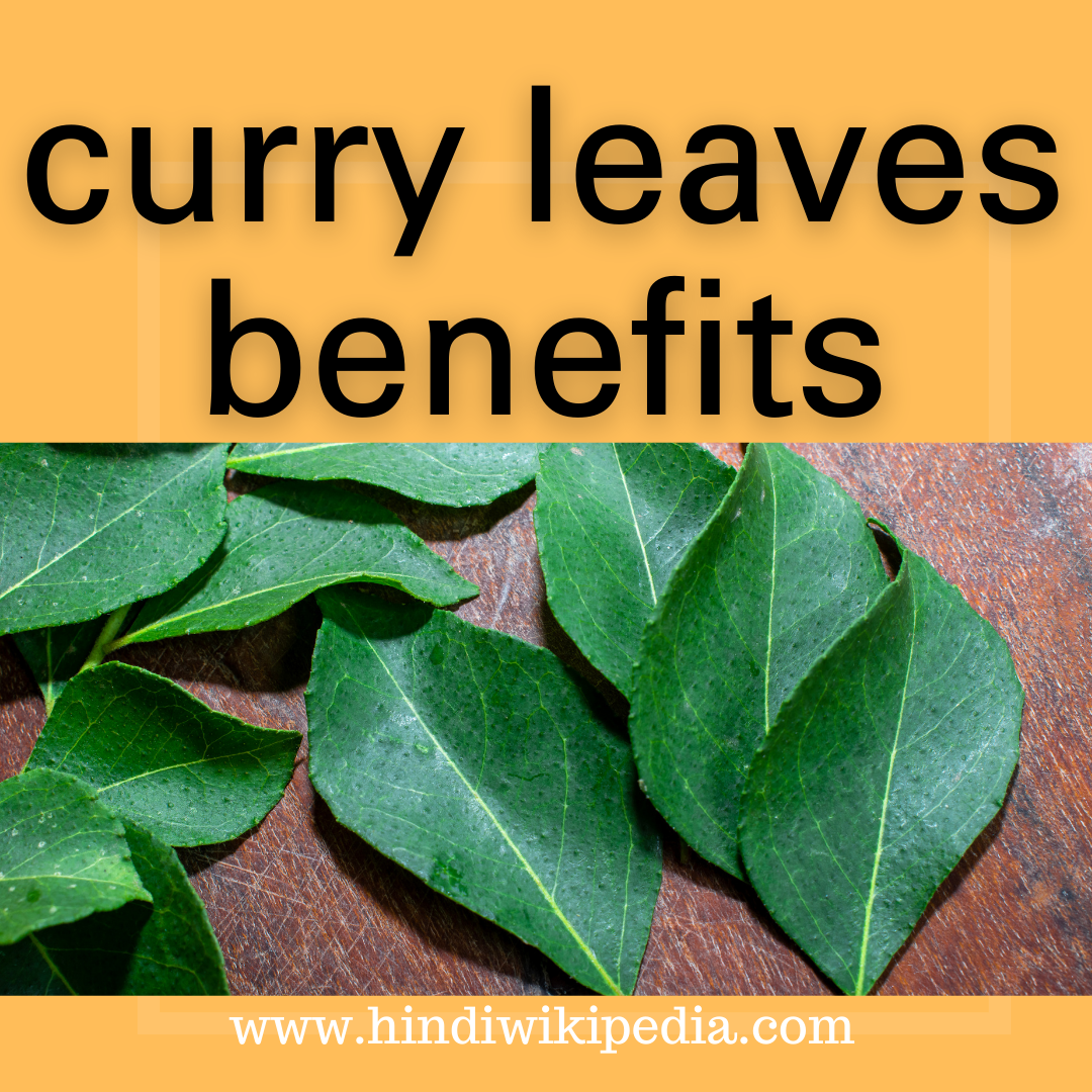 Curry Leaves Benefits