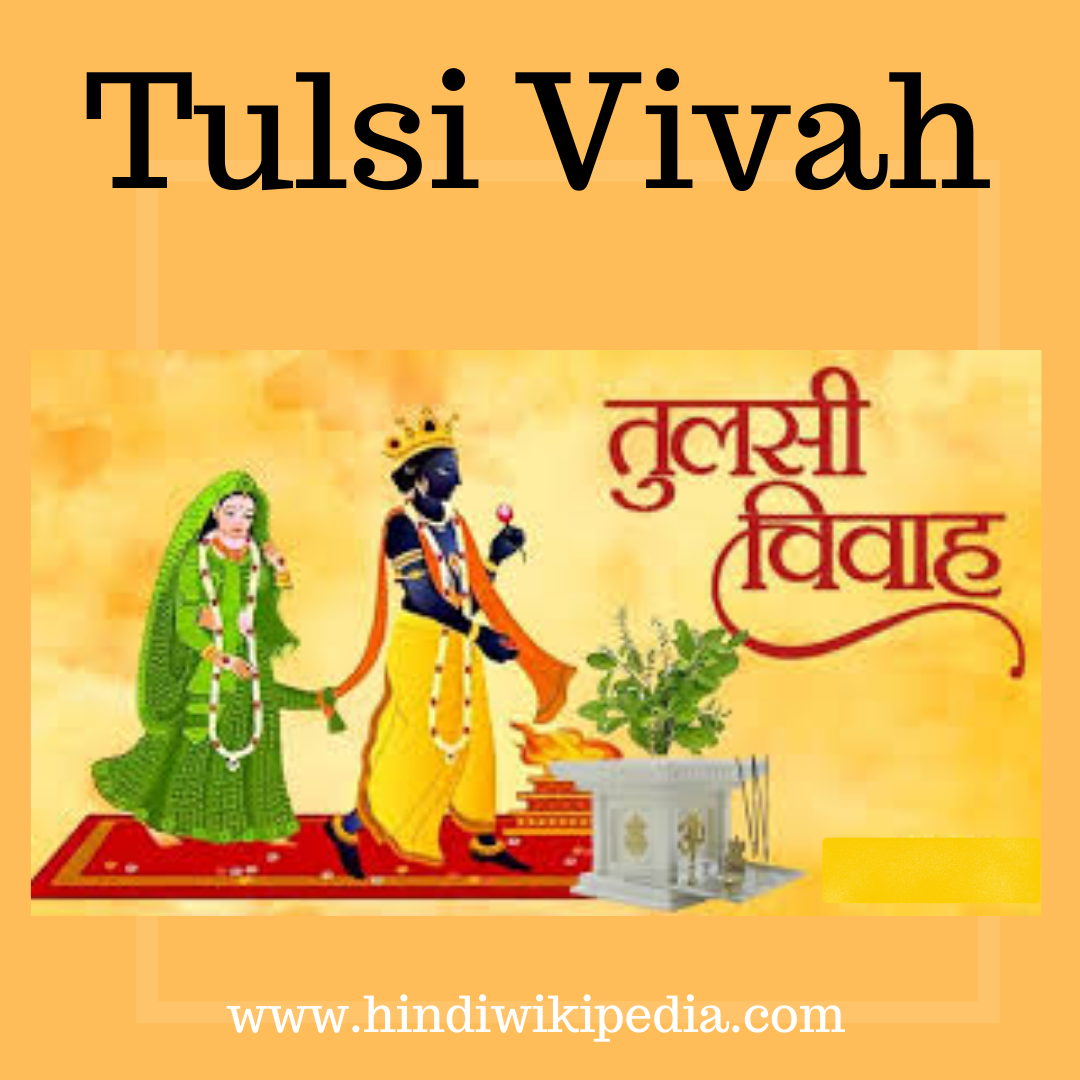 Tulasi vivah information in hindi