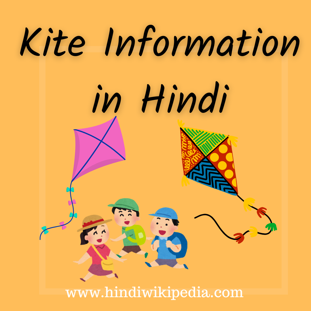 Kite Information in Hindi